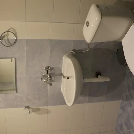 Hotel Bedenski Bani 2*