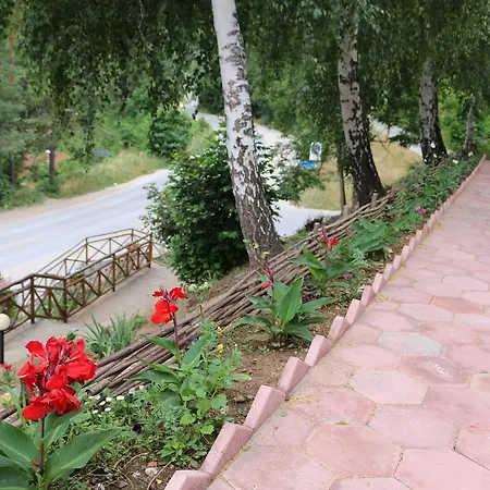 Hotel Bedenski Bani 2*
