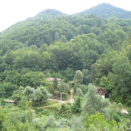 Bedenski Bani