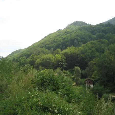 Hotel Bedenski Bani 2*